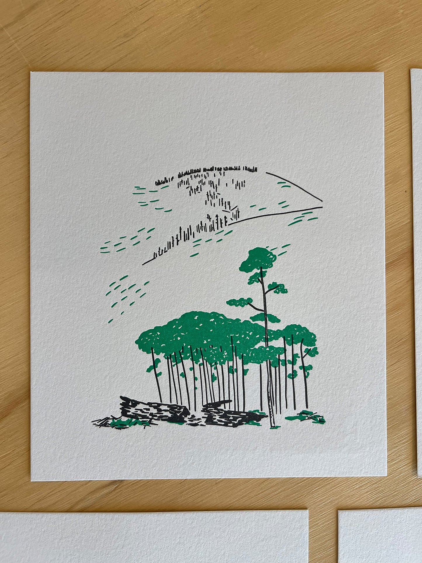 Aspen Tree Letterpress Art Print