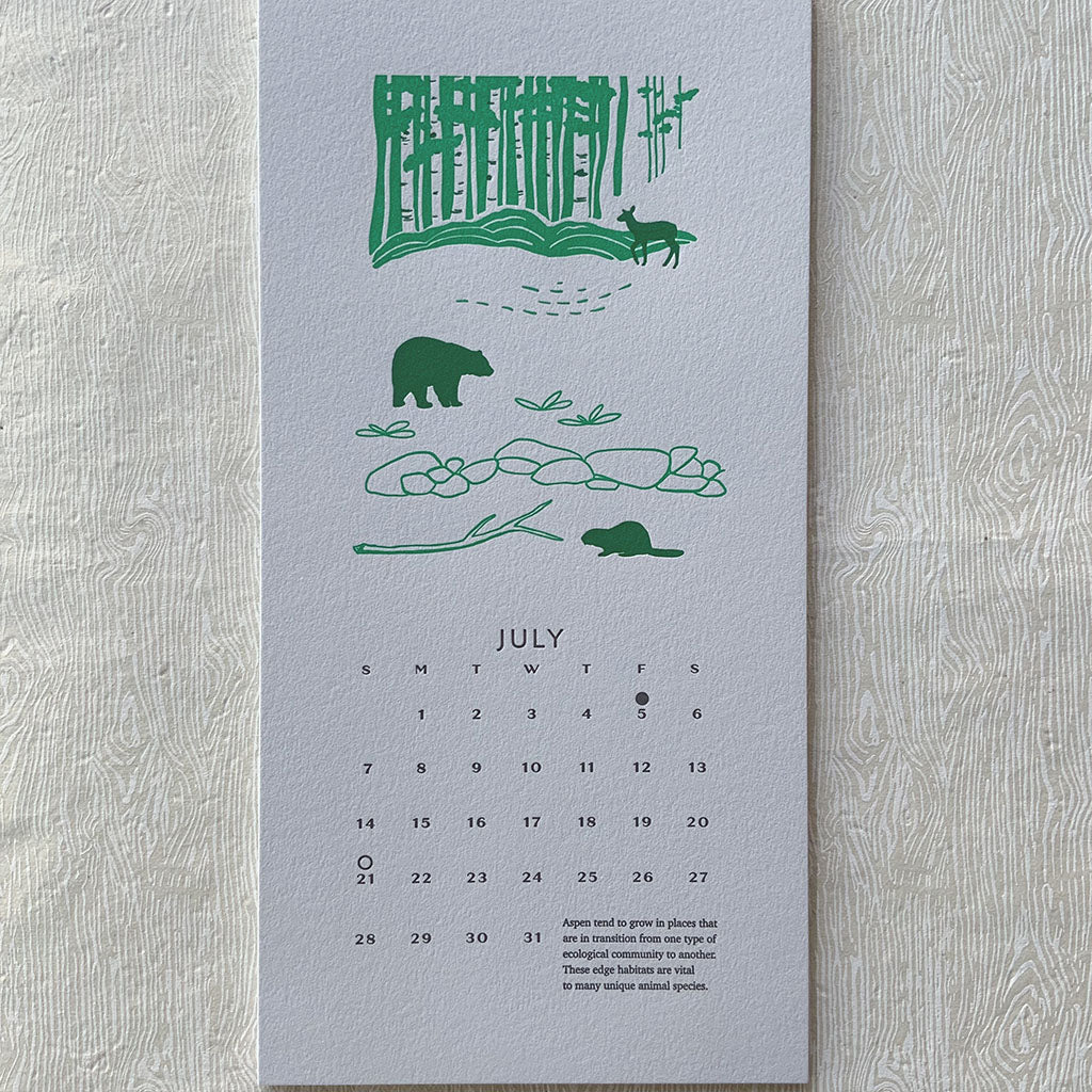2024 Aspen Trees Calendar
