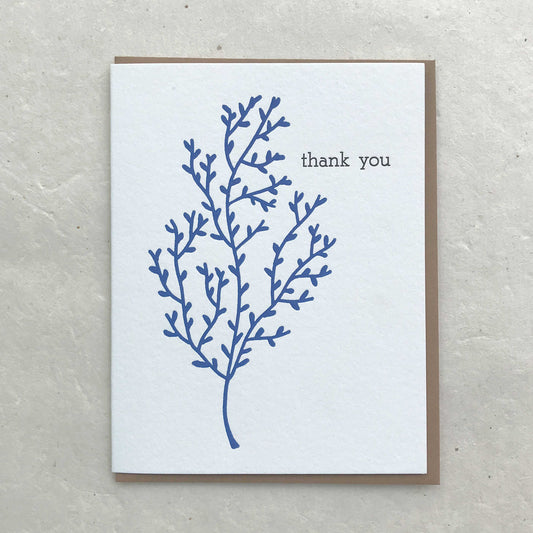 Thank You - Blue Branch